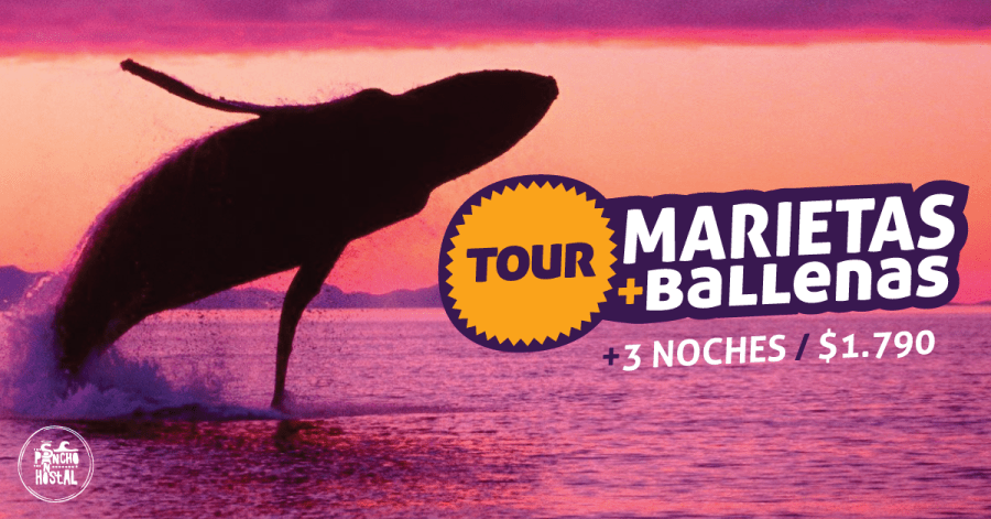 tour-ballenas-hsp