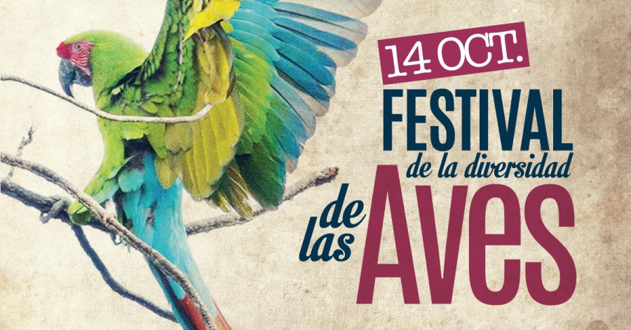 festival-aves-hostal-san-pancho-nayarit